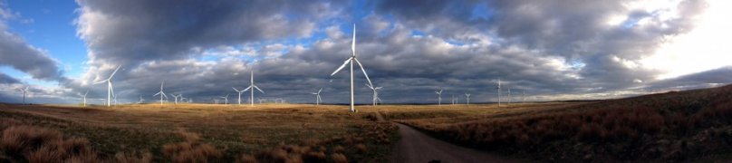 Whitelee windfarm